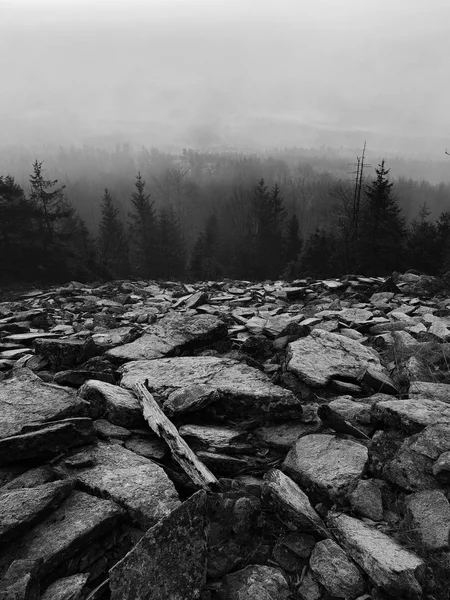 tepeler, sabah erken sonbahar sisli arka plandan arttı. siyah beyaz fotoğraf.