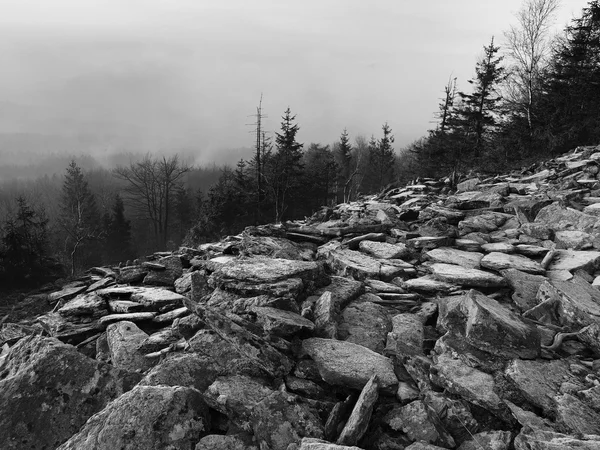 Tepeler, sabah erken sonbahar sisli arka plandan arttı. siyah beyaz fotoğraf. — Stok fotoğraf