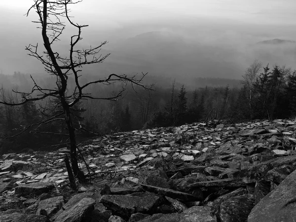 Las colinas aumentaron a partir del fondo de niebla de otoño temprano en la mañana. Foto en blanco y negro . — Foto de Stock