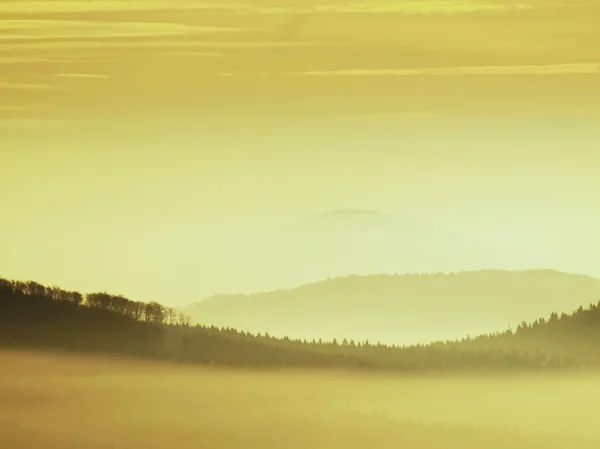 Amanecer brumoso en una hermosa colina. Picos de colinas sobresalen del fondo brumoso, la niebla es amarilla y naranja debido a los rayos del sol . — Foto de Stock
