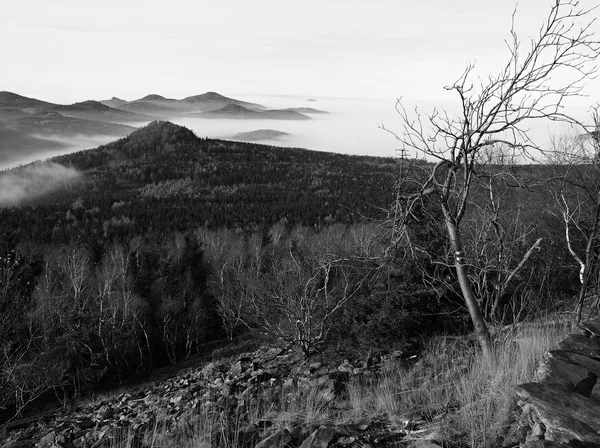 Hill aumentou a partir do início da manhã outono nevoeiro fundo. Primeiros raios solares. Foto em preto e branco. Picos de colinas e árvores estão saindo das ondas amarelas e alaranjadas de névoa . — Fotografia de Stock