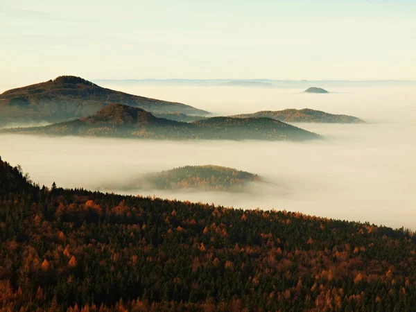 Peaks of hills and trees are sticking out from yellow and orange waves of mist. — Stock fotografie