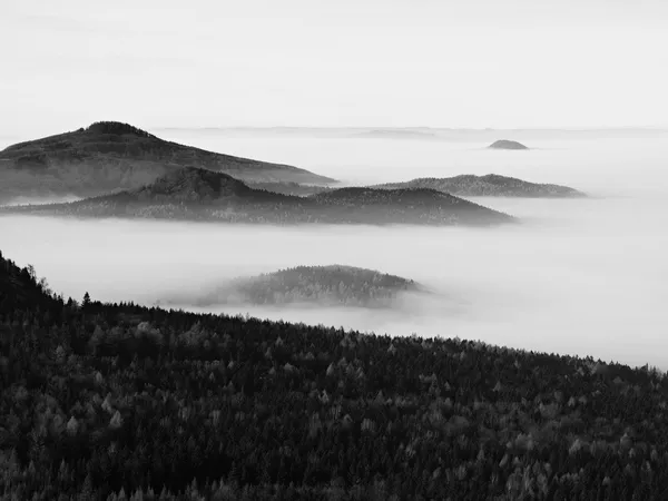 Picchi di colline e alberi sono sporgenti da onde gialle e arancioni di nebbia. I primi raggi del sole. Bianco e nero foto — Foto Stock