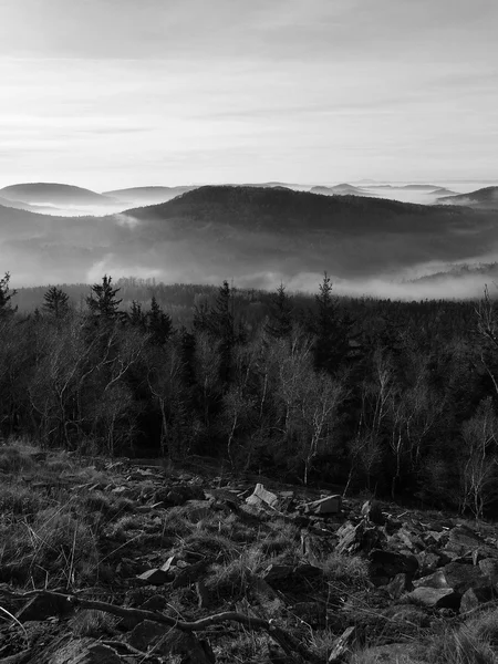 Des sommets de collines et d'arbres se détachent des vagues jaunes et orange de brume. Premiers rayons du soleil. Photo en noir et blanc — Photo