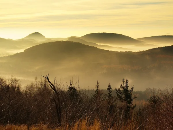 Des sommets de collines et d'arbres se détachent des vagues jaunes et orange de brume . — Photo