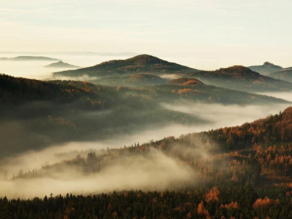 Peaks of hills and trees are sticking out from yellow and orange waves of mist. — Stock fotografie