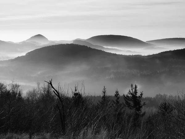 Peaks of hills and trees are sticking out from yellow and orange waves of mist. First sun rays. Black and White photo — Stock Photo, Image