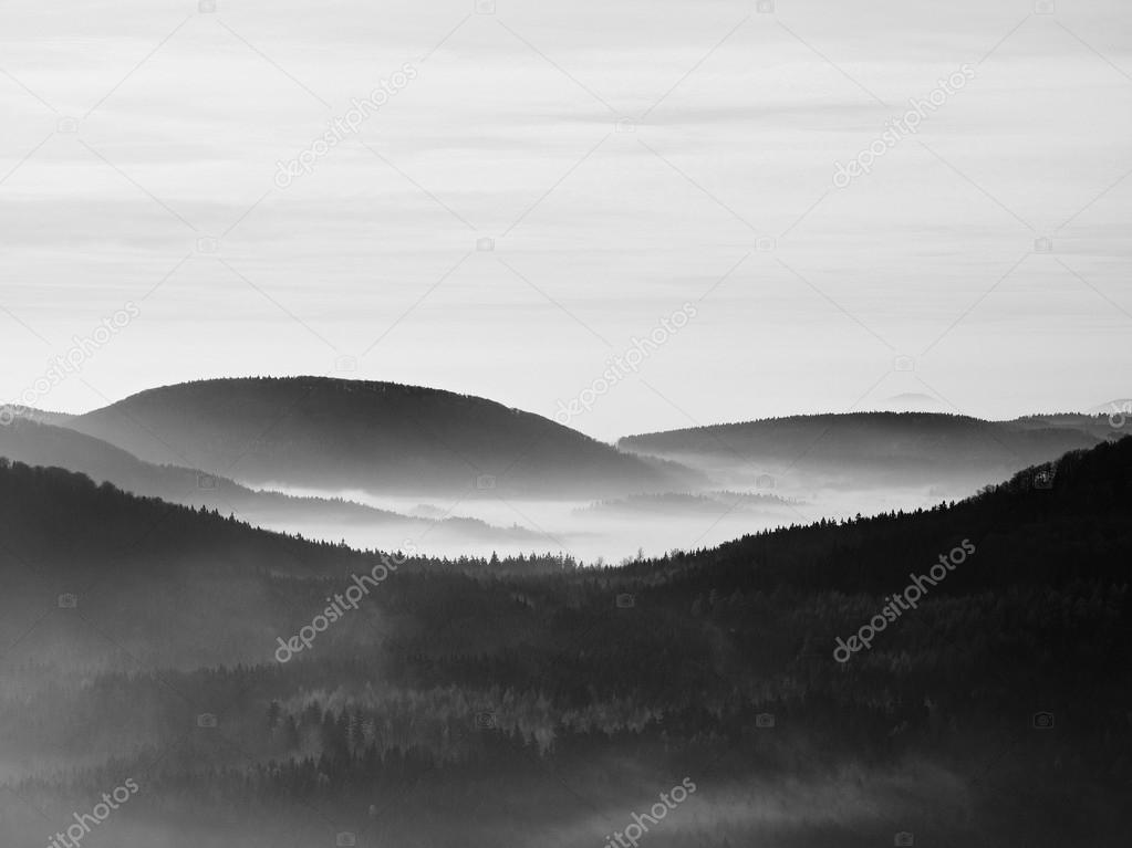 Peaks of hills and trees are sticking out from yellow and orange waves of mist. First sun rays. Black and White photo