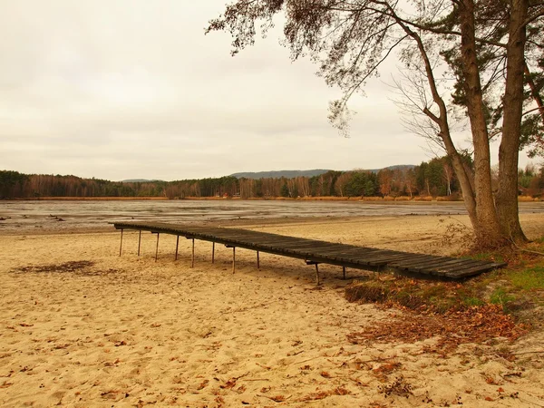 Verlassener Strand am leeren Teich, alte Holzmole und verbogene Erlen über schmutzigem Sand am Strand. Melancholische Herbststimmung. — Stockfoto