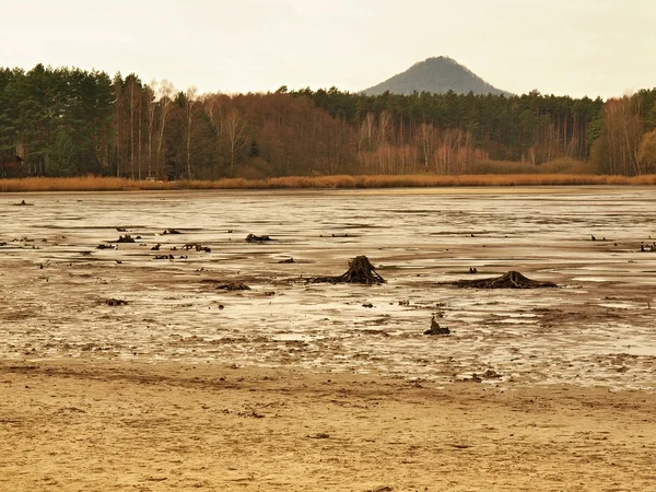 Verlassener Strand am leeren Teich, verbogene Erlen über schlammigem Platz und schmutzigem Strandsand. Melancholische Herbststimmung. — Stockfoto