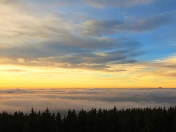 Ett moln inversion är att fylla botten av dalen mellan bergen. mörka toppar av träd göra kontrast med gula och orange moln på himlen. — Stockfoto