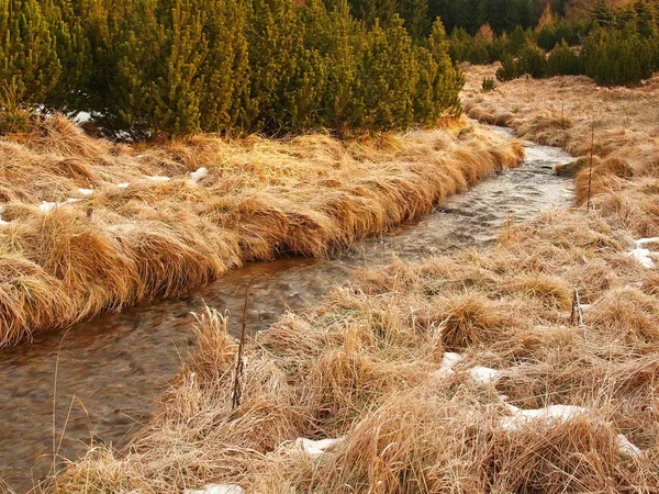 Ruscello di montagna all'inizio dell'inverno, vecchia erba secca arancione su entrambe le sponde, ghiaccio sui massi e pietra in acqua . — Foto Stock