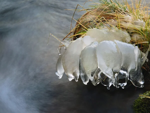 Icicles on old yellow stalks of grass grow on boulder in the stream of mountain river. — Stock Photo, Image