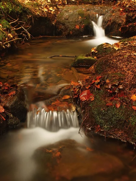 Trapsgewijs op kleine bergbeek, water wordt uitgevoerd tussen rotsen en belletjes maken melkachtig niveau. de kleurrijke maple leaf op steen, wazig water. — Stockfoto