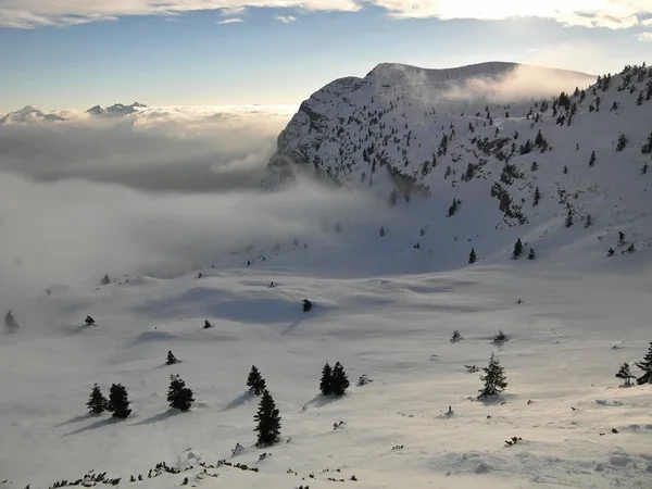 Peaks of mountains in ski resort are sticking out from low mist. — Stock Photo, Image