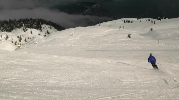 다운 힐 스키와 스노우 보 딩 눈 덮인 슬로프, 낮은 각도에 — 비디오