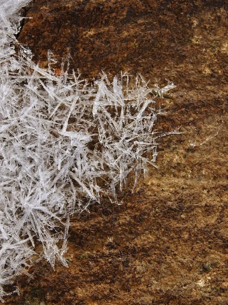 Kristaller av rimfrost på stenen. första hösten frysa i naturen. — Stockfoto