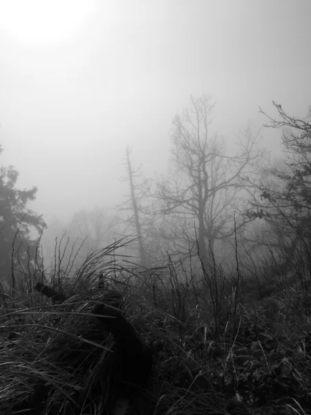 View from the mountain peak down into foggy countryside within autumn evening — Stock Photo, Image