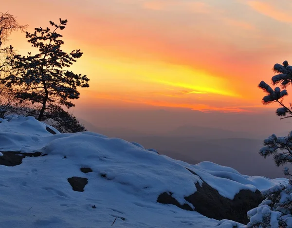 Vista mattutina invernale verso est con alba arancione. Alba nelle rocce del parco della Svizzera boema-sassone . — Foto Stock