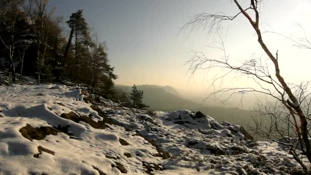 Matin d'hiver dans la forêt du parc. Vue à travers les branches de pin jusqu'au ciel froid orange et bleu, neige poudreuse fraîche sur sol caillouteux . — Video