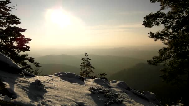 Mañana de invierno en el bosque del parque. Vista a través de ramas de pino al cielo frío naranja y azul, nieve fresca en polvo en suelo pedregoso . — Vídeo de stock