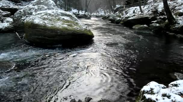 Темная холодная вода горного потока зимой между большими валунами со снежинками первого порошкового снега . — стоковое видео