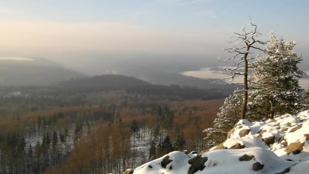 Wintermorgen auf dem Gipfel des felsigen Aussichtspunktes. Gebogene Kiefern mit Frostnadeln und Ästen. gefrorener Pulverschnee auf steinigem Boden. — Stockvideo