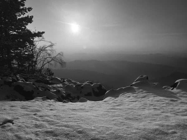 겨울 아침 바위 보기의 정상에 포인트. 함께 구부려 진 소나무 바늘 및 분 지 동결. 돌 바닥에 얼어붙은 눈. — 스톡 사진