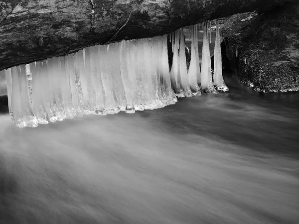 Acqua fredda scura del torrente di montagna in inverno, lunghi ghiaccioli sottili sono appesi sopra il livello dell'acqua lattiginosa . — Foto Stock