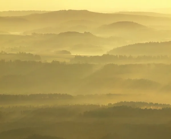 Soğuk altın Bahar şafak. Güneş ışınları ile sarı ve turuncu sis ormanları doruklarına arttı. — Stok fotoğraf