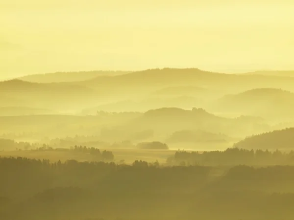 Cold golden spring daybreak. Peaks of forests increased from the yellow and orange fog with sun rays. — Stock Photo, Image