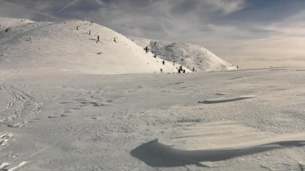 Vista para terreno livre na encosta nevada na estância de esqui Alps. Árvores verdes escuras que se destacam da neve gelada . — Vídeo de Stock