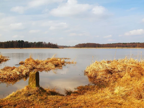 Pequeño lago entre bancos con hierba seca y juncos, pequeño hito blanco en el banco en el agua. Reflejo del cielo en el nivel del agua . — Foto de Stock