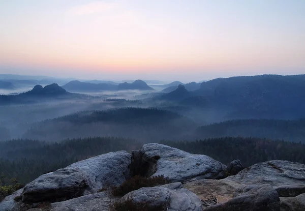 Pink moment before daybreak in Saxony Switzerland park. Sandstone peaks increased from foggy background, the fog blue or pink. — Stock Photo, Image