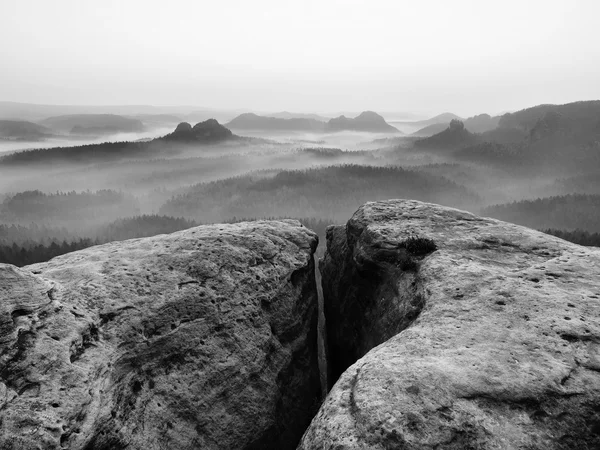 Vue sur la vallée brumeuse profonde dans le parc national allemand. Arbres cachés dans le gouffre brumeux. Image en noir et blanc — Photo