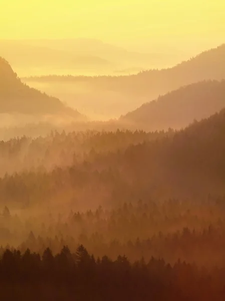 Amanecer brumoso de oro en un hermoso valle del parque de Sajonia Suiza. Picos de arenisca aumentados de niebla, la niebla es de color azul, oro y naranja . — Foto de Stock
