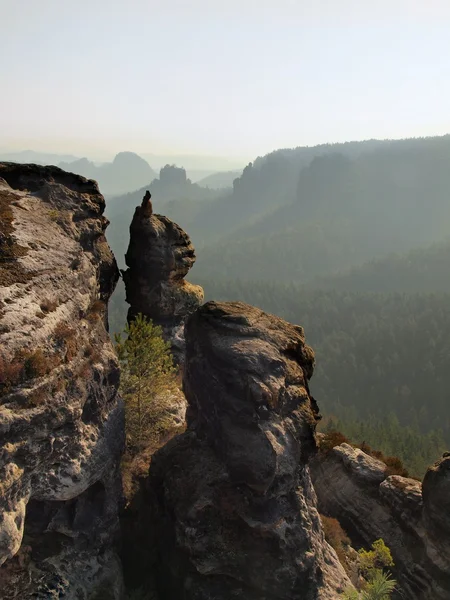 Heißer Sommermorgen in einem wunderschönen Sandsteinreich. Sandsteingipfel aus tiefer Schlucht gestiegen. — Stockfoto