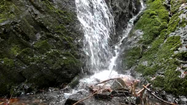 Cascada en un pequeño arroyo de montaña, el agua corre a través de una gran grieta en la roca de basalto y las burbujas crean agua lechosa a nivel . — Vídeo de stock