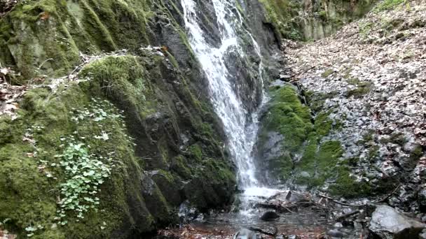 Cascada en un pequeño arroyo de montaña, el agua corre a través de una gran grieta en la roca de basalto y las burbujas crean agua lechosa a nivel . — Vídeo de stock