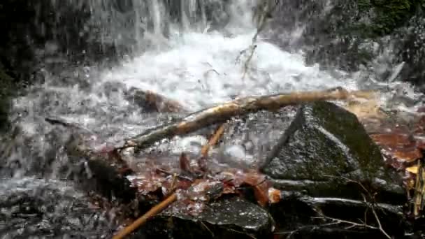 Cascada en un pequeño arroyo de montaña, el agua corre a través de una gran grieta en la roca de basalto y las burbujas crean agua lechosa a nivel . — Vídeo de stock