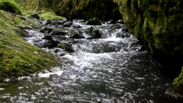 Cascade on small mountain stream, water is running trough big crack in basalt boulder and bubbles create on level milky water. — Stock Video