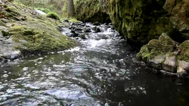 Cascade on small mountain stream, water is running trough big crack in basalt boulder and bubbles create on level milky wate — Stock Video