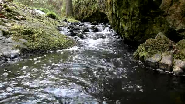 Cascade sur un petit ruisseau de montagne, l'eau coule à travers une grande fissure dans un rocher de basalte et des bulles créent sur le niveau de la mer laiteuse 