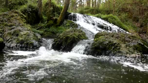 Cascada en un pequeño arroyo de montaña, el agua corre a través de una gran grieta en la roca de basalto y las burbujas crean agua lechosa a nivel . — Vídeos de Stock