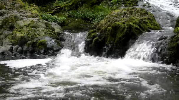 Cascade on small mountain stream, water is running trough big crack in basalt boulder and bubbles create on level milky wate — Stock Video