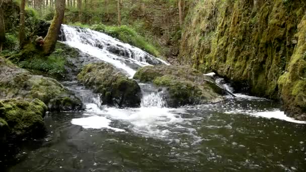 Cascada en un pequeño arroyo de montaña, el agua corre a través de una gran grieta en la roca de basalto y las burbujas crean agua lechosa a nivel . — Vídeos de Stock