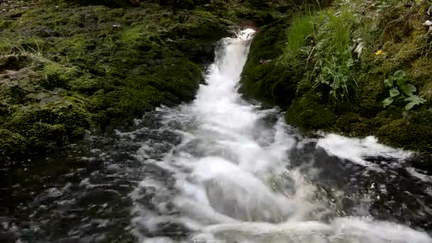 Cascade on small mountain stream, water is running trough big crack in basalt boulder and bubbles create on level milky wate — Stock Video