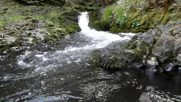 Cascada en un pequeño arroyo de montaña, el agua corre a través de una gran grieta en la roca de basalto y las burbujas crean agua lechosa a nivel . — Vídeos de Stock