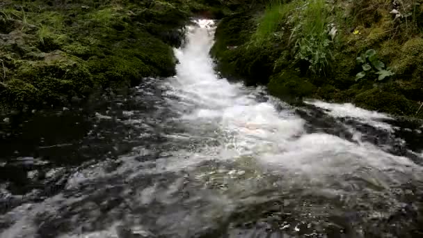 Cascade on small mountain stream, water is running trough big crack in basalt boulder and bubbles create on level milky wate — Stock Video