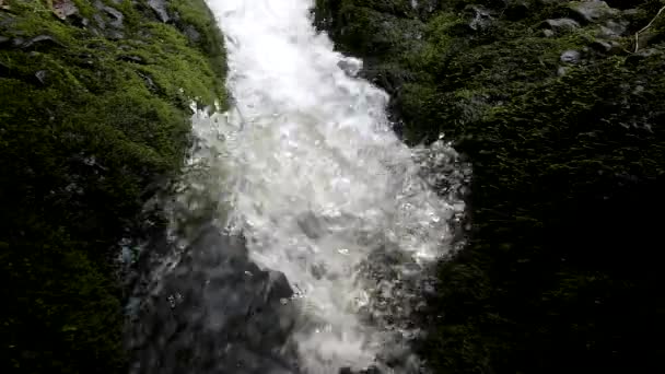 Cascade on small mountain stream, water is running trough big crack in basalt boulder and bubbles create on level milky water. — Stock Video